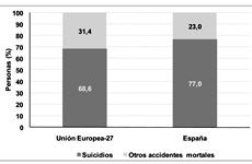 Suicides and trespasses on railway property: analysis and prevention and mitigation measures